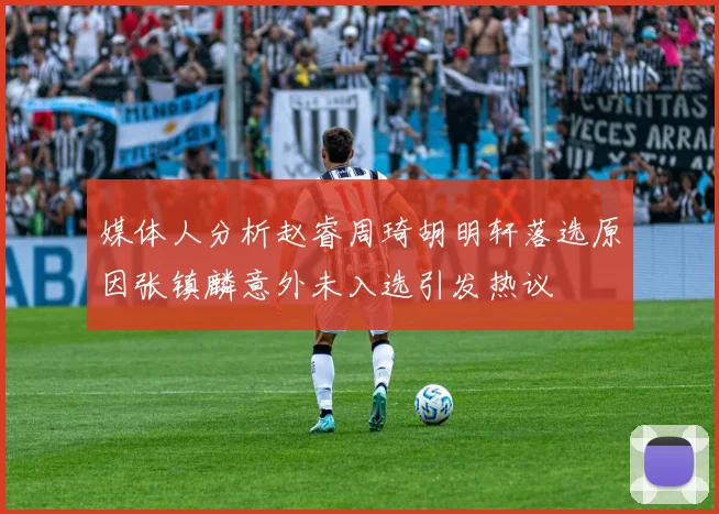 媒体人分析赵睿周琦胡明轩落选原因张镇麟意外未入选引发热议