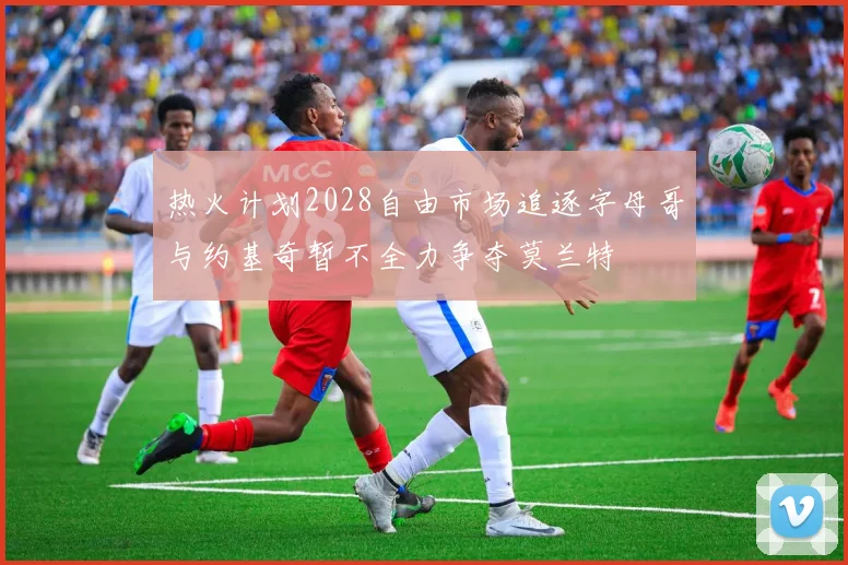 热火计划2028自由市场追逐字母哥与约基奇暂不全力争夺莫兰特
