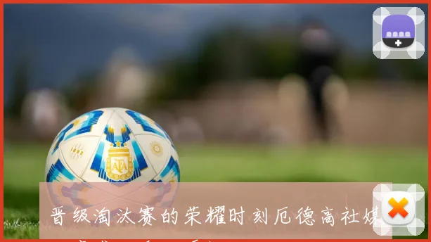 晋级淘汰赛的荣耀时刻厄德高社媒分享感人谢场瞬间